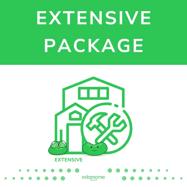 EXTENSIVE Package - maintenance