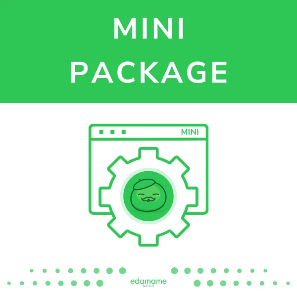 MINI Package - maintenance